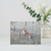 Wild Fox Briefkaart (Staand voorkant)