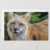Wild Fox Briefpapier (Voorkant / Achterkant)