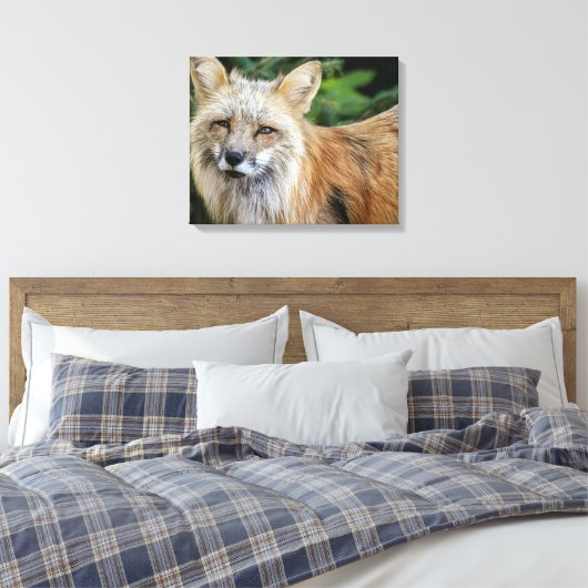 Wild Fox Canvas Afdruk (Insitu (Slaapkamer))