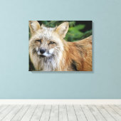 Wild Fox Canvas Afdruk (Insitu (Houten vloer))
