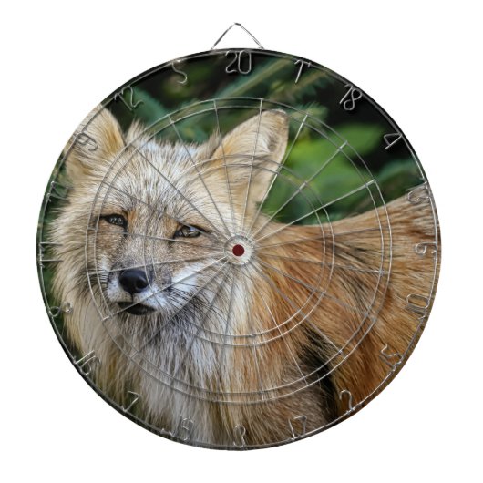 Wild Fox Dartbord (Voorkant)
