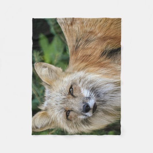 Wild Fox Fleece Deken (Voorkant)