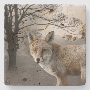 Wild Fox Fotografie Stone Onderzetter