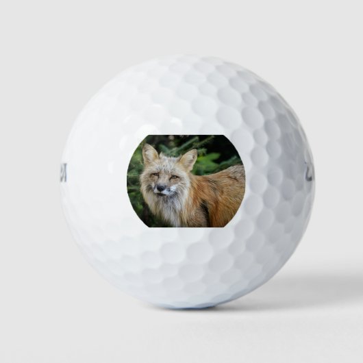 Wild Fox Golfballen (Voorkant)