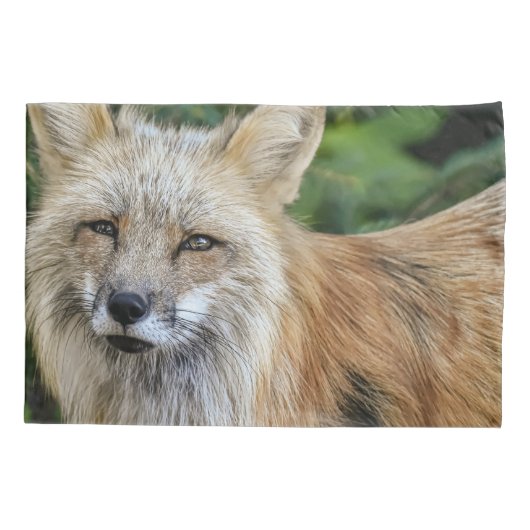 Wild Fox Kussensloop (Achterkant)