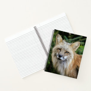 Wild Fox Notitieboek