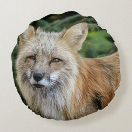 Wild Fox Rond Kussen