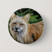 Wild Fox Ronde Button 5,7 Cm (Voorkant)