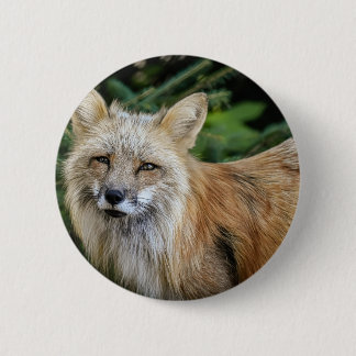 Wild Fox Ronde Button 5,7 Cm