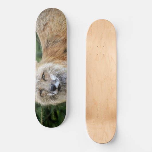 Wild Fox Skateboard (Voorkant)