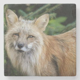Wild Fox Stenen Onderzetter