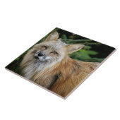 Wild Fox Tegeltje (Zijkant)