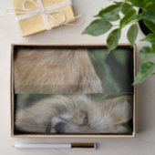 Wild Fox Tissuepapier (Geschenk)