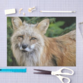 Wild Fox Tissuepapier (Craft)