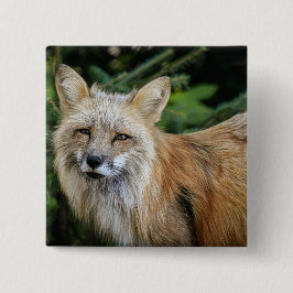 Wild Fox Vierkante Button 5,1 Cm