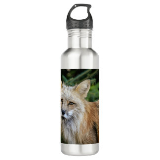 Wild Fox Waterfles