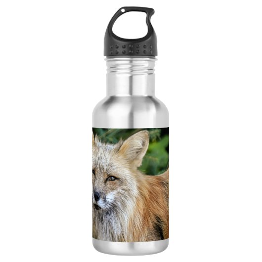 Wild Fox Waterfles (Voorkant)