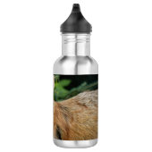 Wild Fox Waterfles (Rechts)