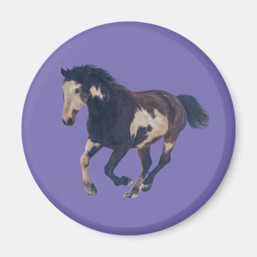 Wild Galloping Pinto American Paint Horse Magneet (Voorkant)
