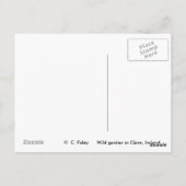 Wild Garden, Clare, Ierland Briefkaarten (Achterkant)