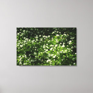 Wild Garlic Canvas Afdruk