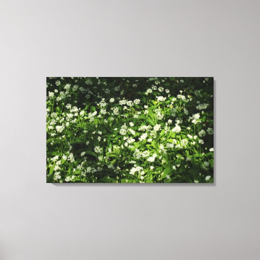 Wild Garlic Canvas Afdruk (Voorkant)