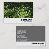 Wild Garlic Visitekaartje (Voorkant / Achterkant)