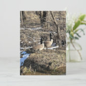 Wild Geese (Staand voorkant)