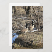 Wild Geese (Voorkant / Achterkant)