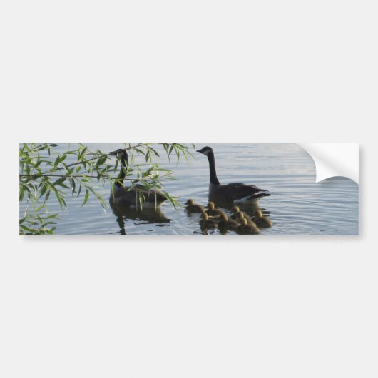Wild Geese Bumpersticker (Voorkant)