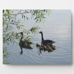 Wild Geese Plaque Fotoplaat