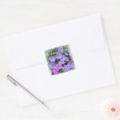 WILD GERANIUM ~ Square Envelope Sealer/Sticker Vierkante Sticker (Envelop)