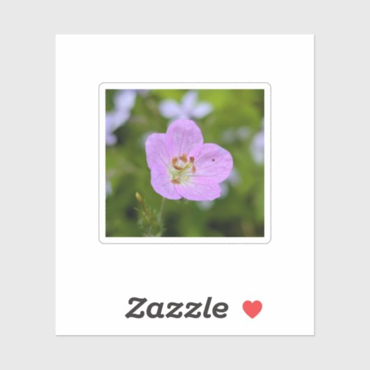 Wild Geranium Whisper — Nature Sticker (Feuille)