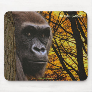 Wild Gorilla Bedreigde Soort Primaat Mousepad Muismat