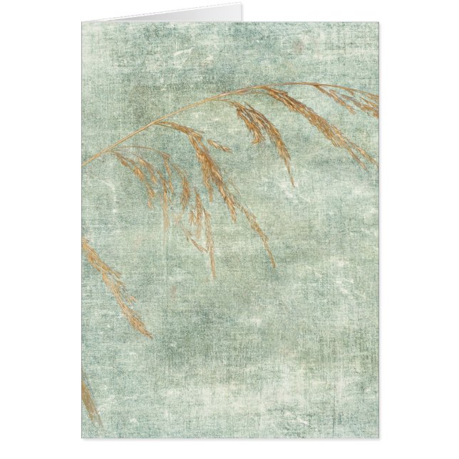 Wild Grass (Voorkant)