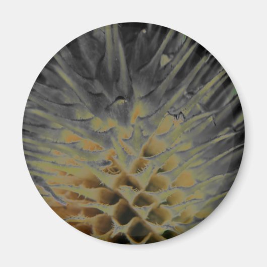 Wild Grass Supernova Magneet (Voorkant)