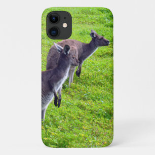 Wild Gray Australian Kangaroos iPhone 11 Hoesje