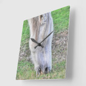 Wild Grazing New Forest Pony Hampshire, Engeland Vierkante Klok (Hoek)