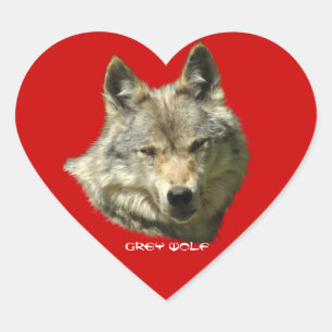 WILD GREY WOLF Wildlife Stickers