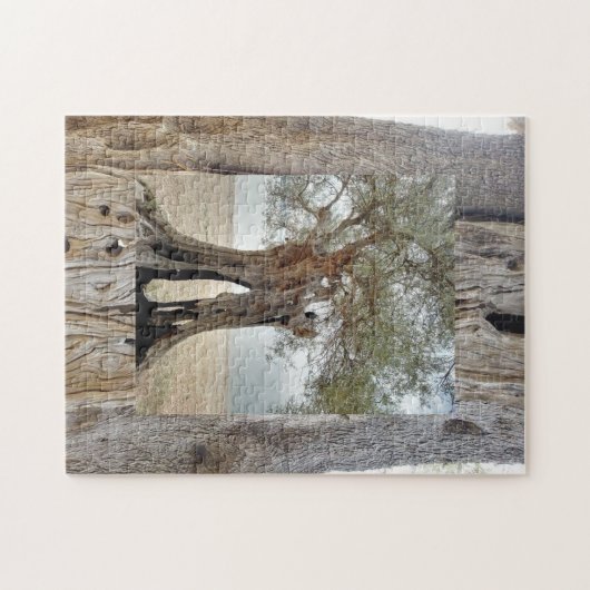 Wild Grieks Olijfboom Keepsake Puzzel Legpuzzel (Horizontaal)