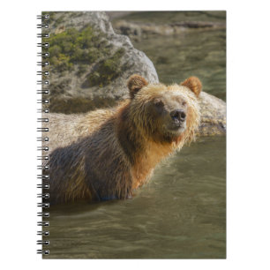 Wild Grizzly Beer in de Orford Notitieboek
