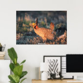 Wild Grouse Poster (Thuiskantoor)