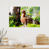 Wild Grouse Poster (Keuken)