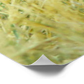 Wild Grouse Poster (Hoek)