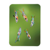 Wild Guppy Magneet (Verticaal)