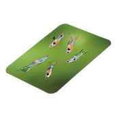 Wild Guppy Magneet (Linkerzijde)