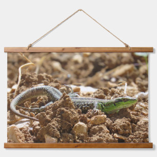 Wild Hagedis Natuur Fotografie Rustiek Hangend Wandkleed