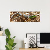 Wild Hagedis Natuur Fotografie Rustiek Poster (Thuiskantoor)