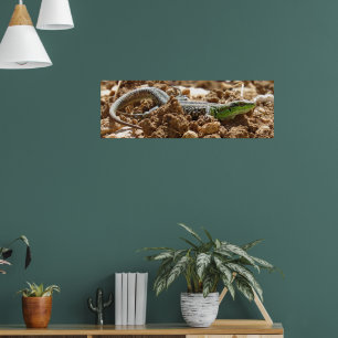 Wild Hagedis Natuur Fotografie Rustiek Poster