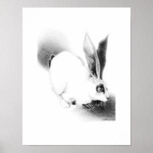 Wild Hare Kaart Poster
